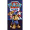 ΠΕΤΣΕΤΑ ΘΑΛΑΣΣΗΣ MICROFIBER PAW PATROL CHASE
